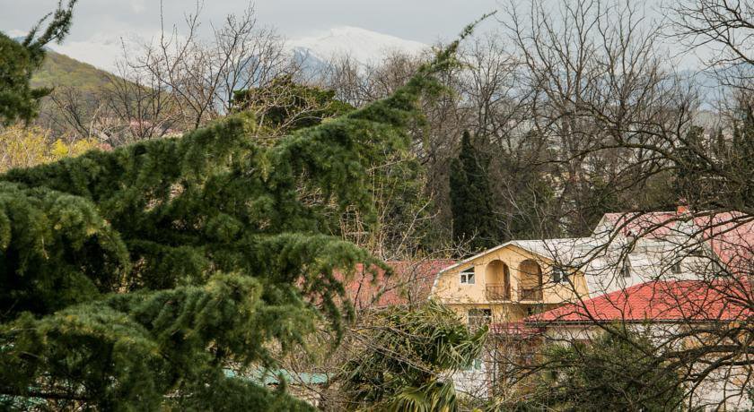 Гостиница Гостевой Дом «Дом Меги» Адлер